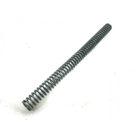 41, Recoil spring (SP-01)