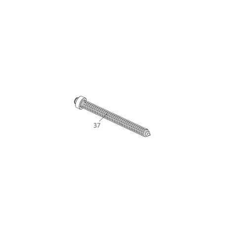 37, Recoil Spring Assembly (PX4)